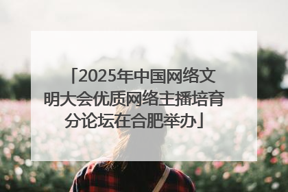 2025年中国网络文明大会优质网络主播培育分论坛在合肥举办