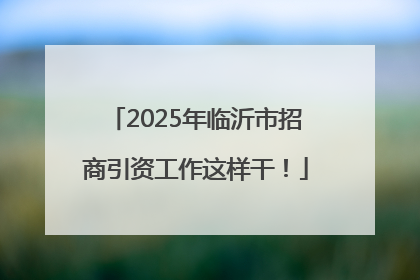 2025年临沂市招商引资工作这样干！