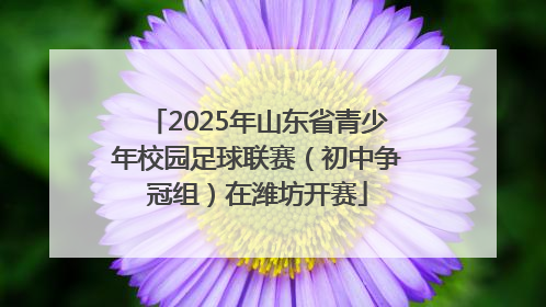 2025年山东省青少年校园足球联赛（初中争冠组）在潍坊开赛
