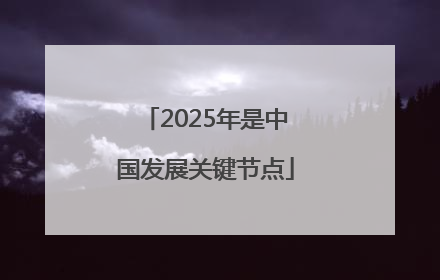 2025年是中国发展关键节点