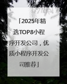 2025年精选TOP8小程序开发公司，优质小程序开发公司推荐