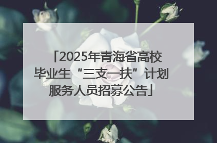 2025年青海省高校毕业生“三支一扶”计划服务人员招募公告