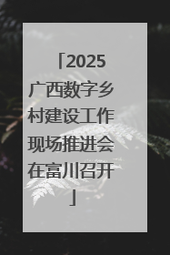 2025广西数字乡村建设工作现场推进会在富川召开