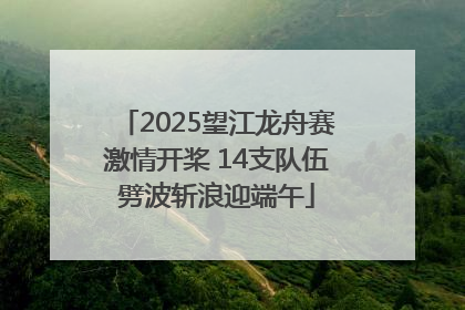 2025望江龙舟赛激情开桨 14支队伍劈波斩浪迎端午