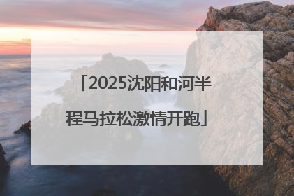 2025沈阳和河半程马拉松激情开跑
