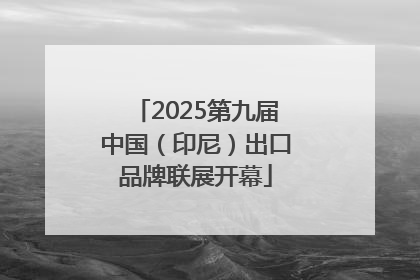 2025第九届中国（印尼）出口品牌联展开幕