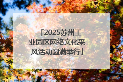 2025苏州工业园区网络文化采风活动圆满举行