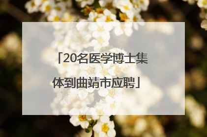 20名医学博士集体到曲靖市应聘