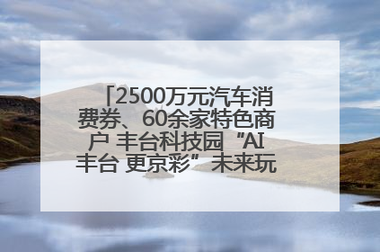 2500万元汽车消费券、60余家特色商户 丰台科技园“AI丰台 更京彩”未来玩家市集活动正式开幕