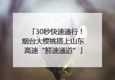 30秒快速通行！烟台大樱桃搭上山东高速“鲜速通道”