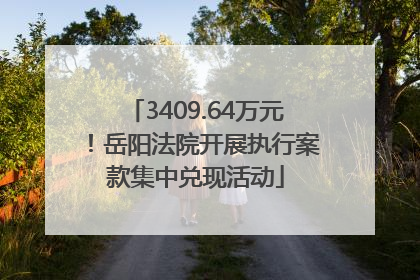 3409.64万元！岳阳法院开展执行案款集中兑现活动