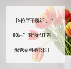 5位厅干履新，“80后”的他已任省级党委副秘书长