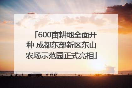 600亩耕地全面开种 成都东部新区东山农场示范园正式亮相