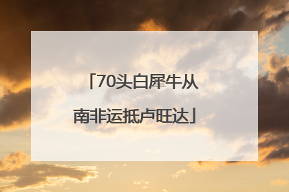 70头白犀牛从南非运抵卢旺达