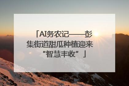 AI务农记——彭集街道甜瓜种植迎来“智慧丰收”