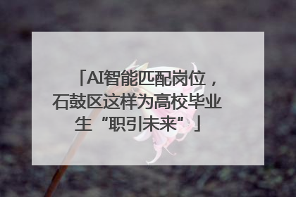 AI智能匹配岗位，石鼓区这样为高校毕业生“职引未来”
