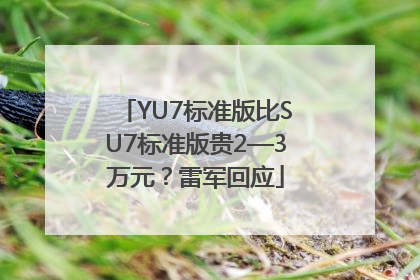 YU7标准版比SU7标准版贵2—3万元？雷军回应